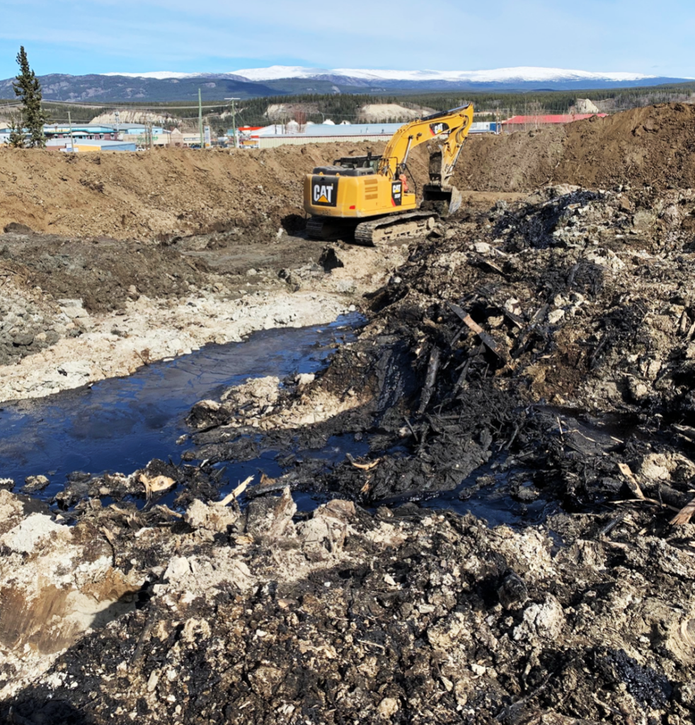 Marwell Tar Pit Remediation